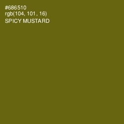 #686510 - Spicy Mustard Color Image